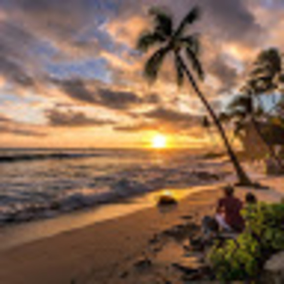 8hawaiian08